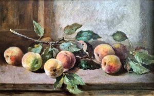 Oskar Brázda - Zátiší